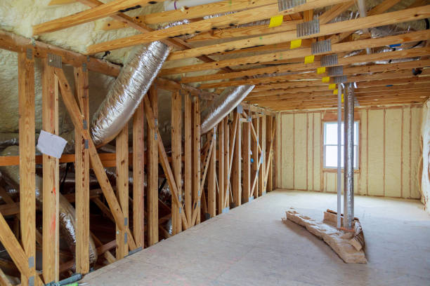 Best Insulation Removal  in Bridgeville, PA
