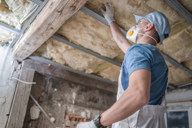 Best Blown-in Insulation  in Bridgeville, PA