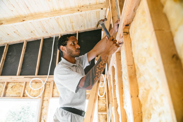Best Insulation Replacement Services  in Bridgeville, PA
