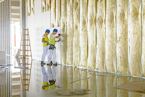 Best Insulation Contractor Near Me  in Bridgeville, PA